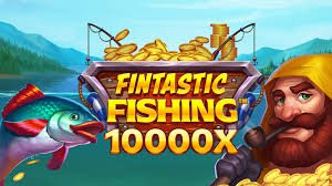 bdo111